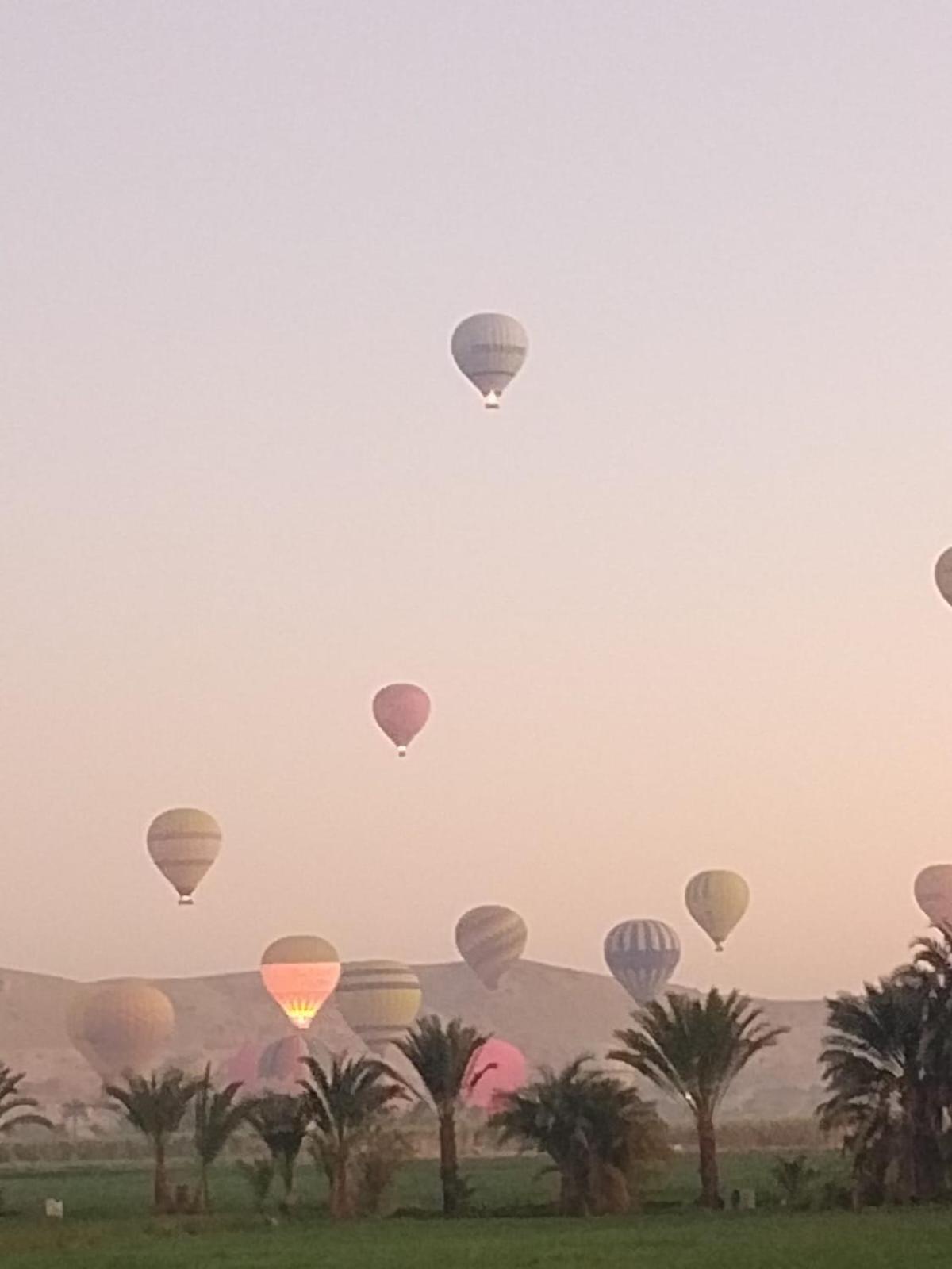 ホテル Egypt Amon ルクソール エクステリア 写真