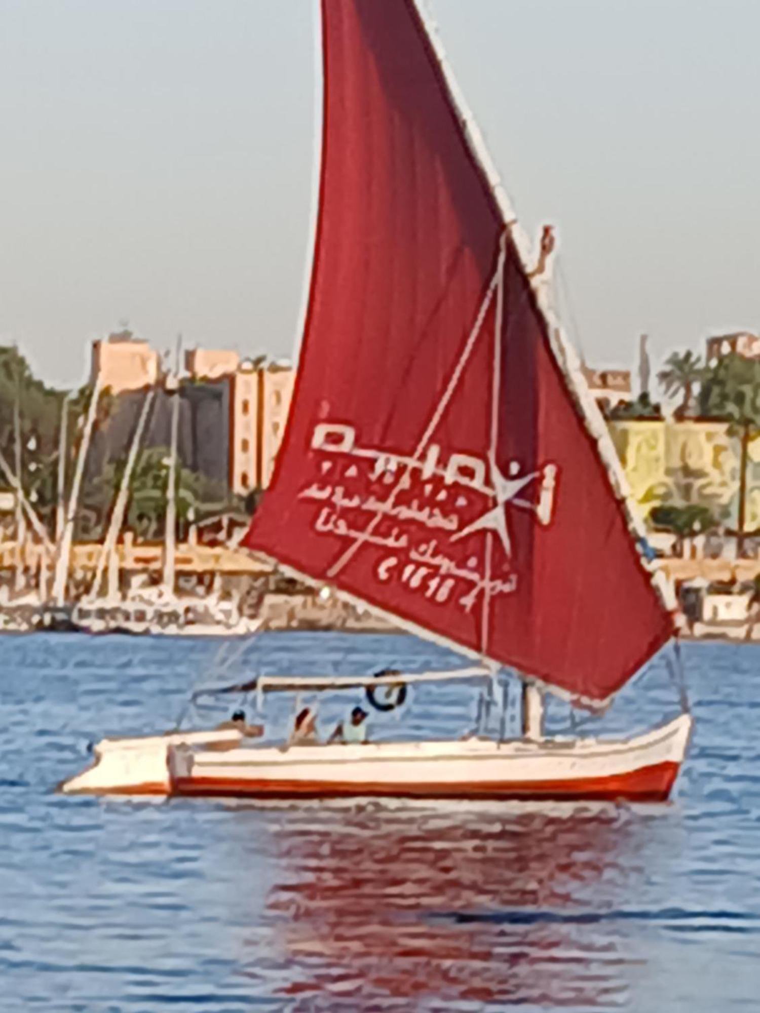 ホテル Egypt Amon ルクソール エクステリア 写真